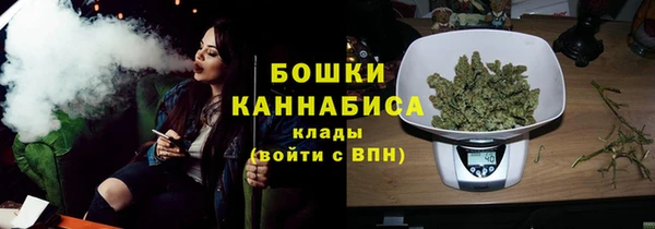индика Наволоки