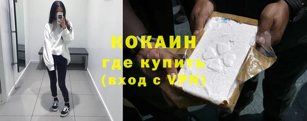 индика Наволоки