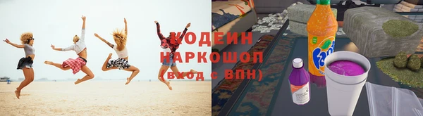 индика Наволоки