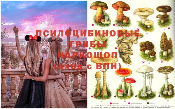мескалин Навашино