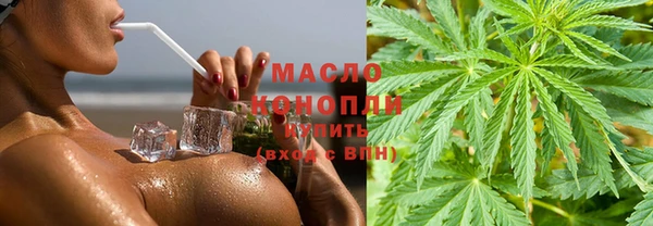 индика Наволоки