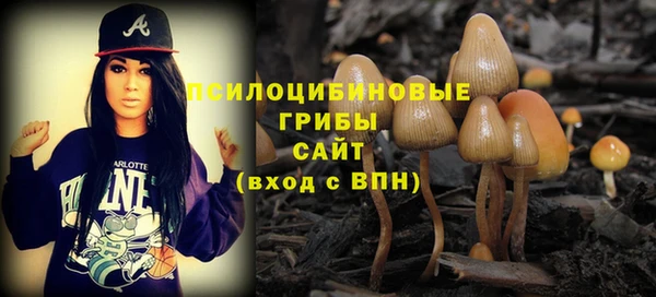 таблы Надым