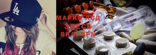 спиды Нефтекумск