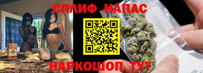 шишки Дубна