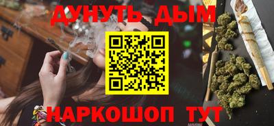 шишки Дубна