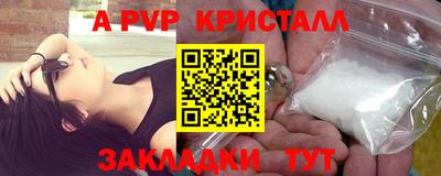 шишки Абакан