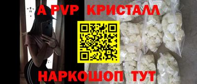 шишки Дубна