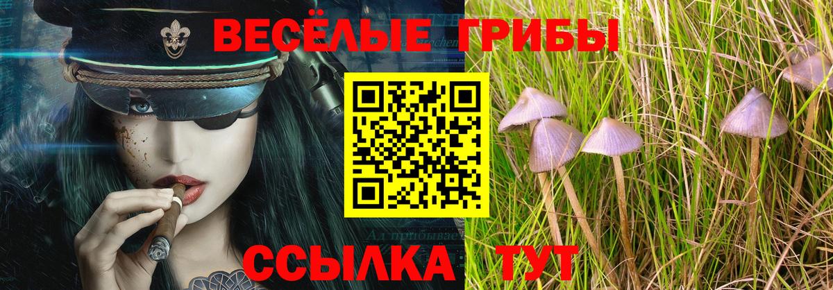 Тулун  Псилоцибиновые грибы мицелий  Вход с VPN 