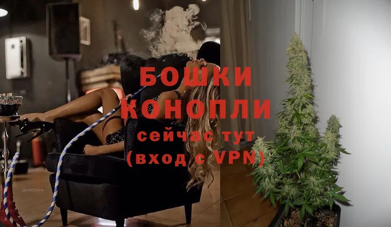 где купить наркоту  Тулун  Конопля White Widow 