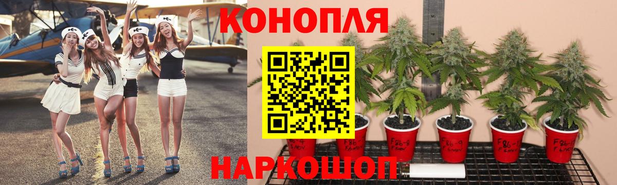 Альфа ПВП Тулун